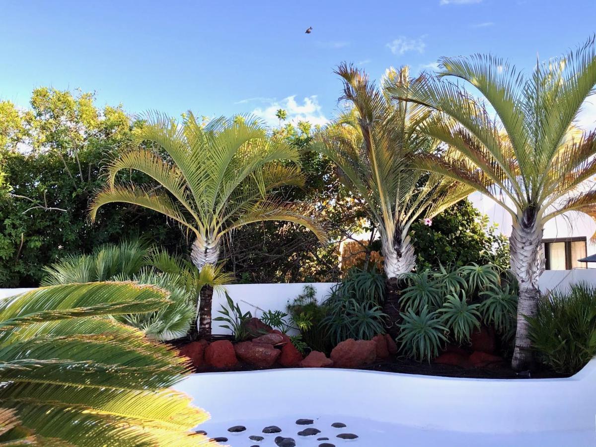 Villa Picasso Private Pool Πλάγια Μπλάνκα Εξωτερικό φωτογραφία